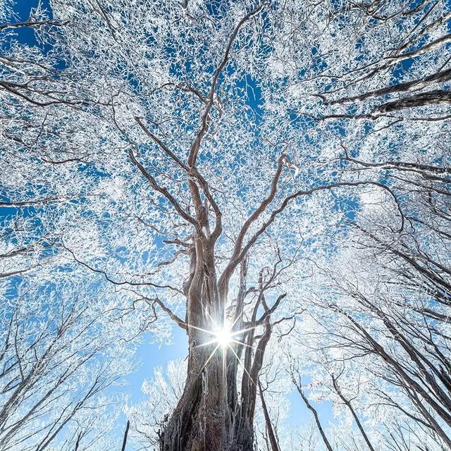  ..........discoverer   'recent posts' 