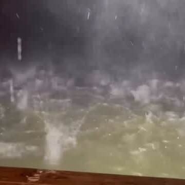  ..........ylefishing   'recent posts' 