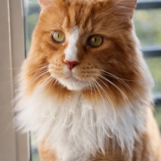  ......adamus   'recent posts' 