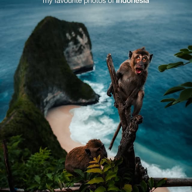  .......refervor   'recent posts' 