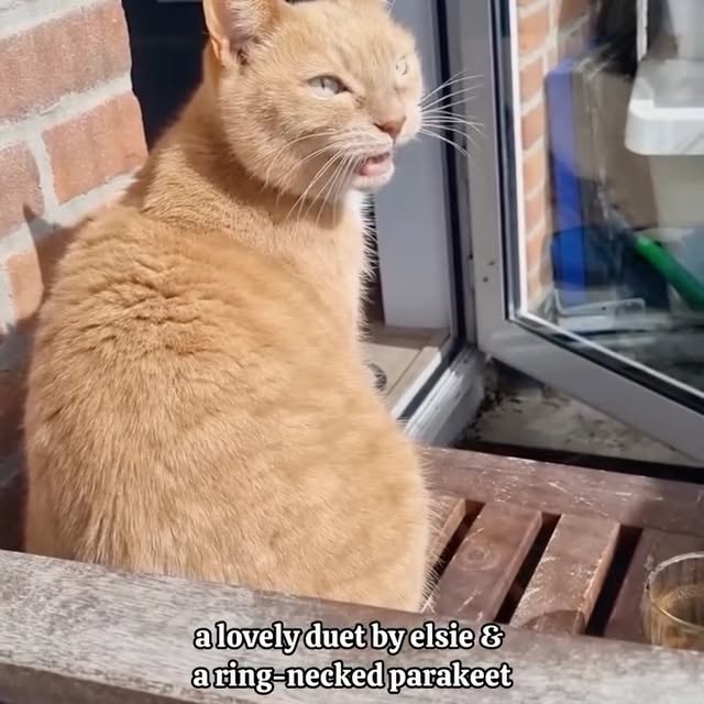  ......kekkek   'recent posts' 