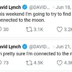  ......solynch   'recent posts' 