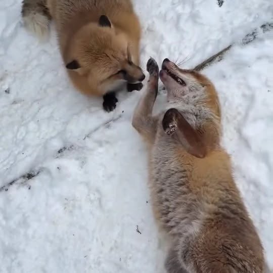  ........vacations   'recent posts' 