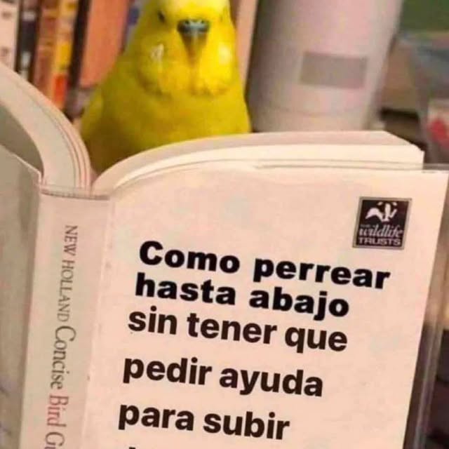  .....nanzis   'recent posts' 