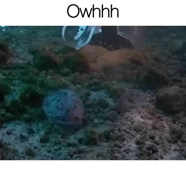  ......marino   'recent posts' 