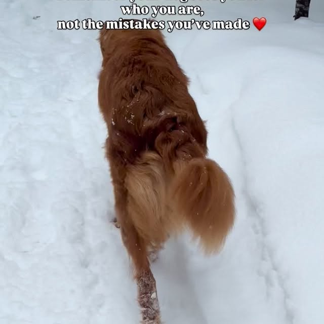  ......atoller   'recent posts' 