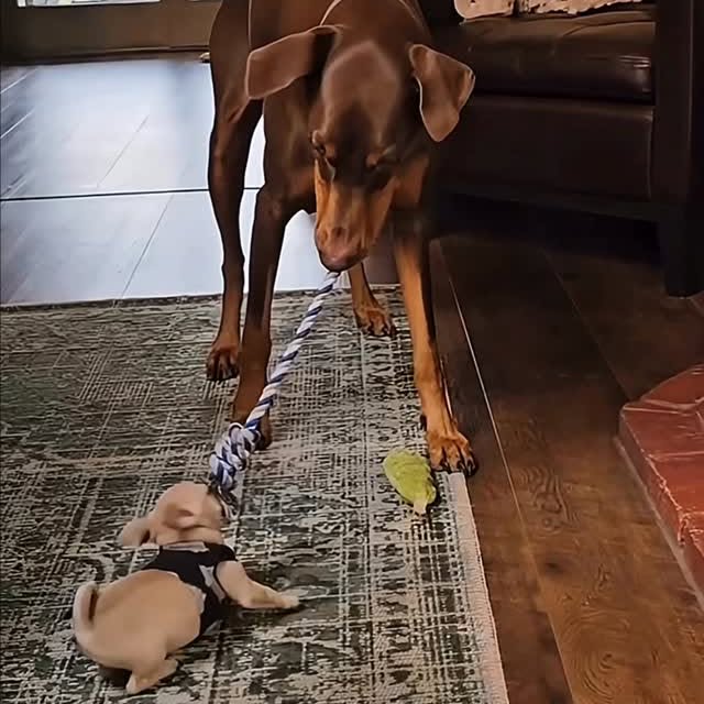  ........malsgram   'recent posts' 