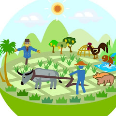 Hire ....a TV influencer with 13.2k