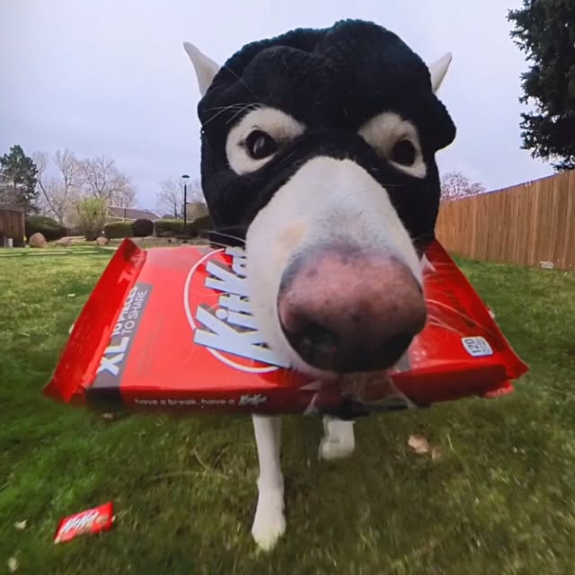  .....eteers   'recent posts' 