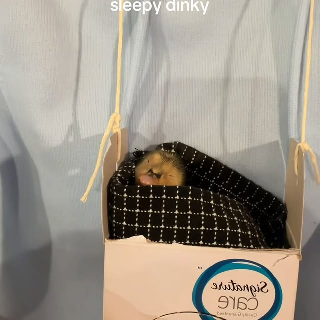  ........ckstatue   'recent posts' 