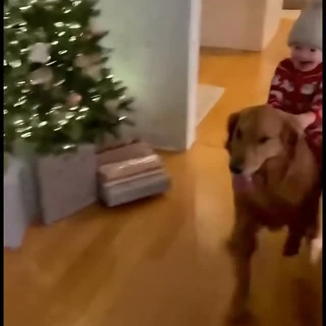  ......orable   'recent posts' 