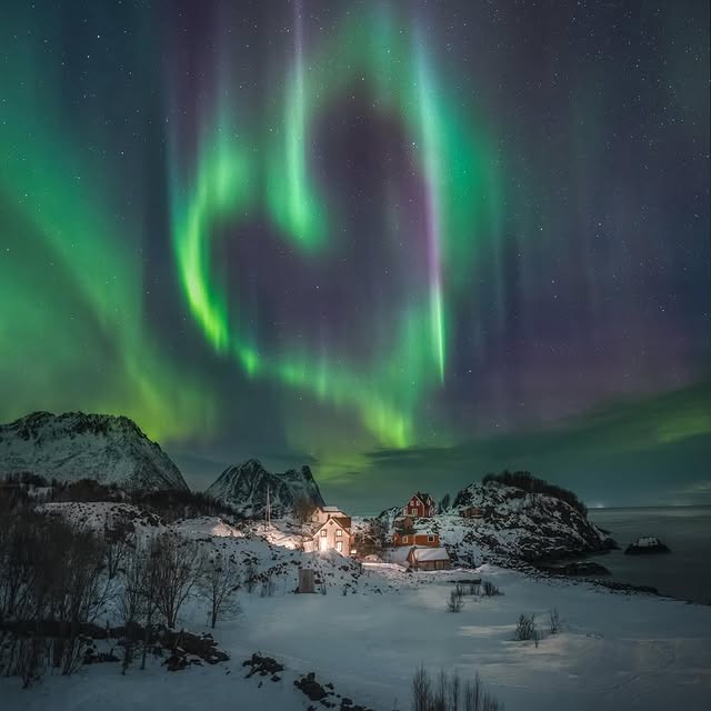  .....ervor   'recent posts' 