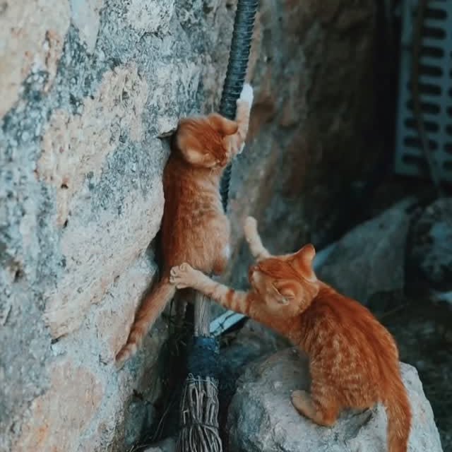  ......_lover   'recent posts' 