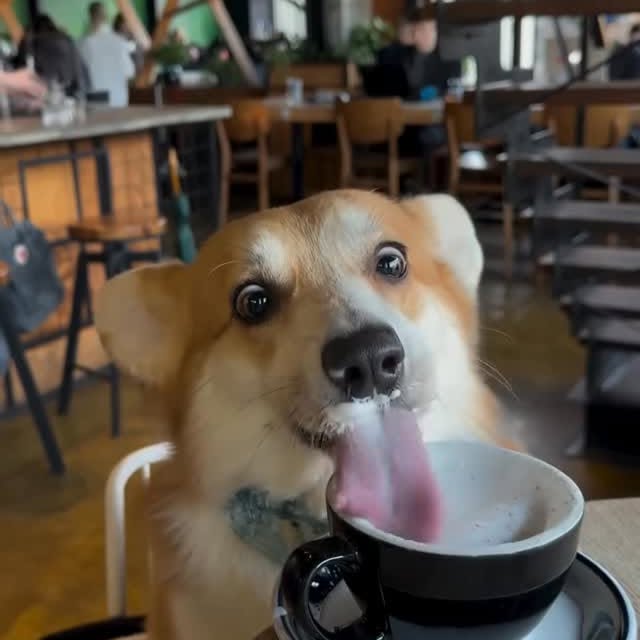  ......orable   'recent posts' 