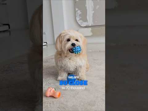  ..ni  'recent videos' 