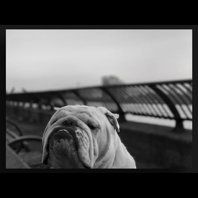  ......rwhite   'recent posts' 