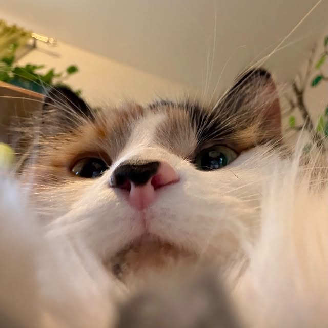  .........tofficial   'recent posts' 