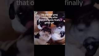  ......Monkey  'recent videos' 