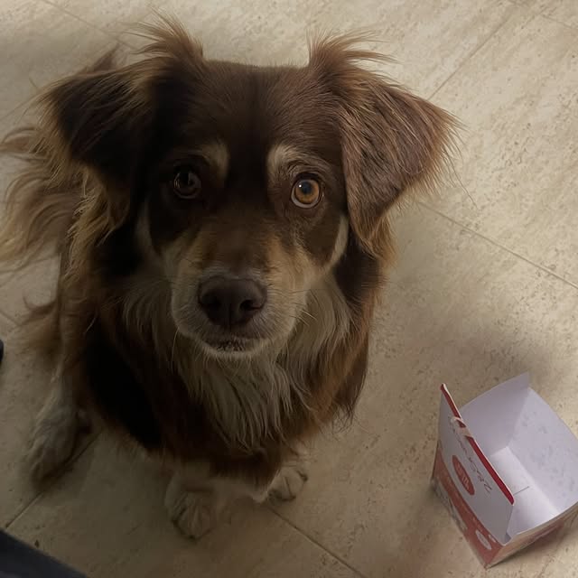  .....og2020   'recent posts' 