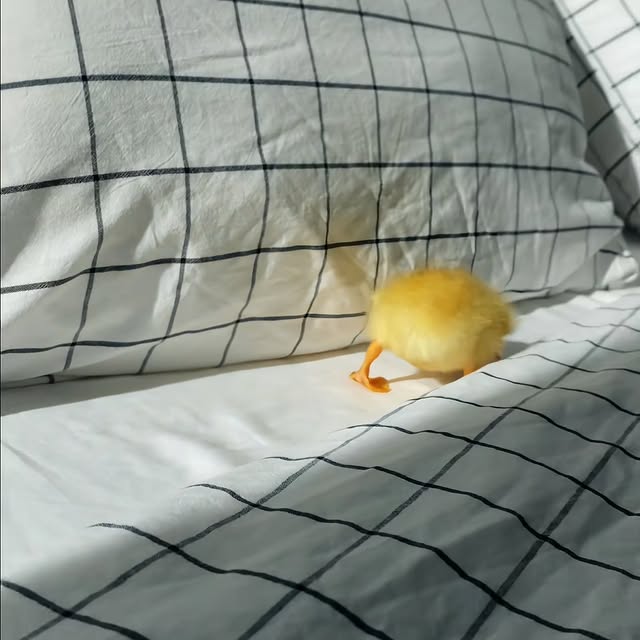  ........ckstatue   'recent posts' 