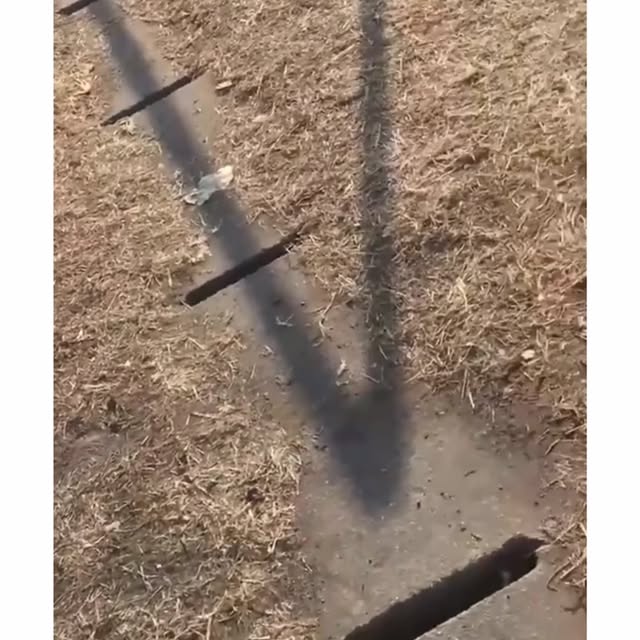  ........eos_fr_us   'recent posts' 