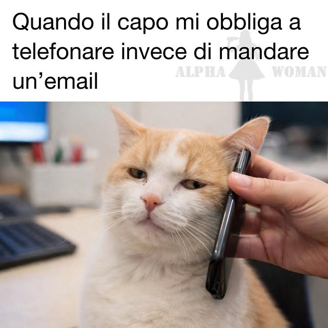  ..........n_official   'recent posts' 