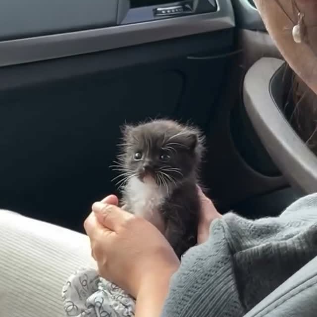  .....ns.hub   'recent posts' 