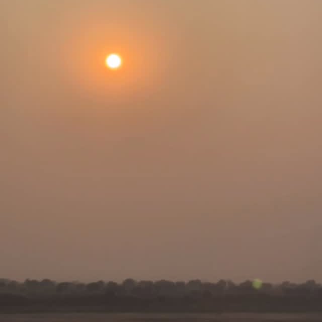  ........rkivines   'recent posts' 