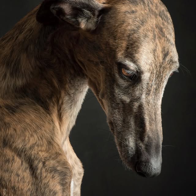  ..........hotography   'recent posts' 