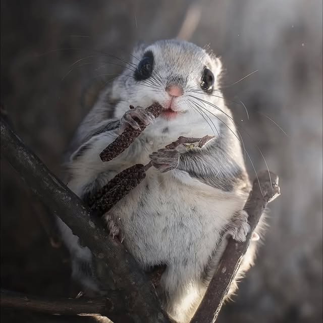  ..........discoverer   'recent posts' 