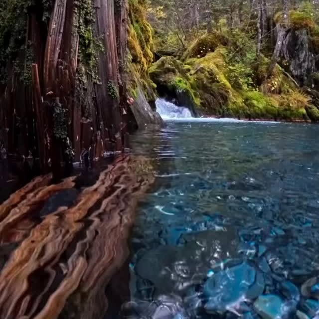  .........tiesdaily   'recent posts' 