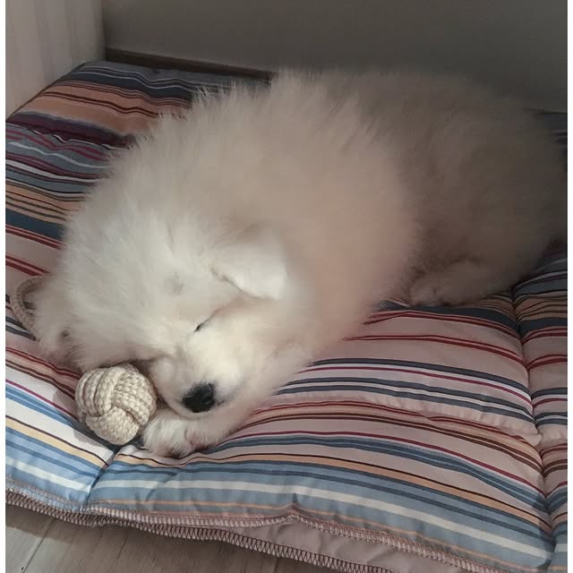  ........dventures   'recent posts' 