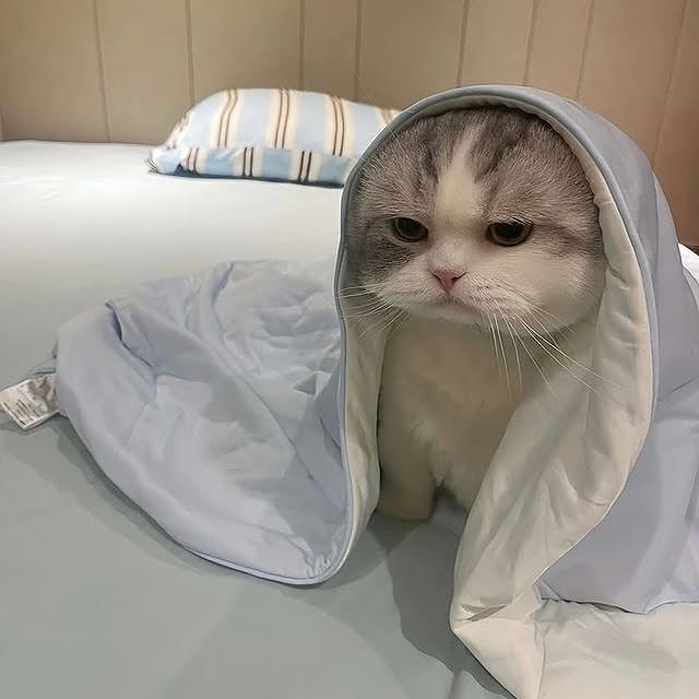  .....kuties   'recent posts' 