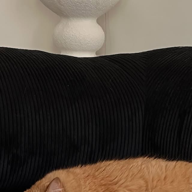  ....errlu   'recent posts' 