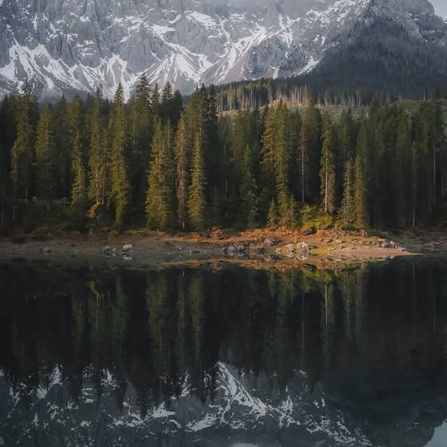  ......entpix   'recent posts' 