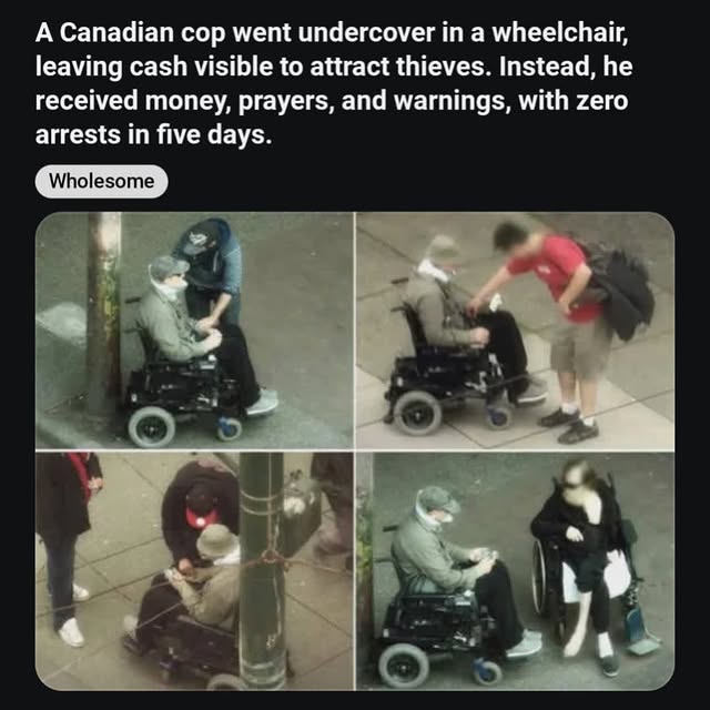  ............ttheinternet   'recent posts' 