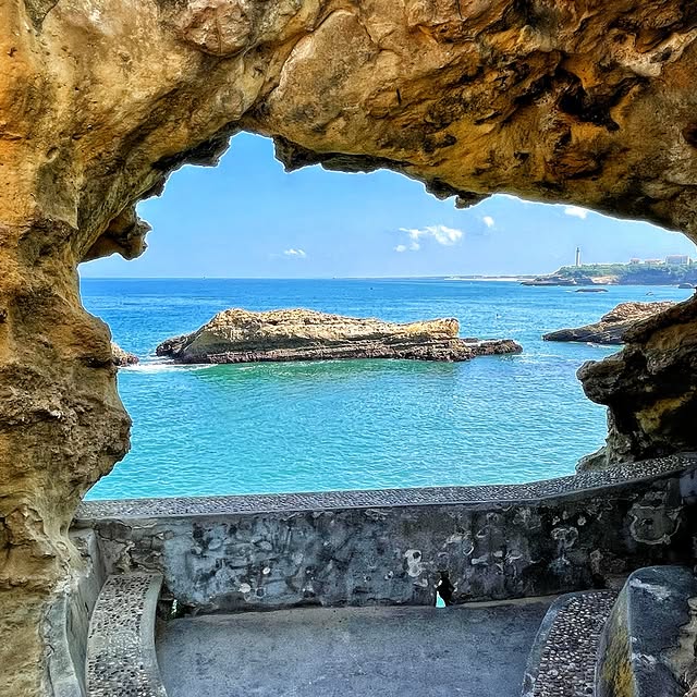  ......_viola   'recent posts' 