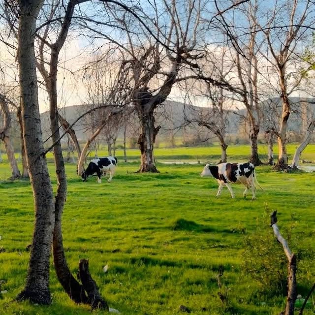  ......my_city   'recent posts' 