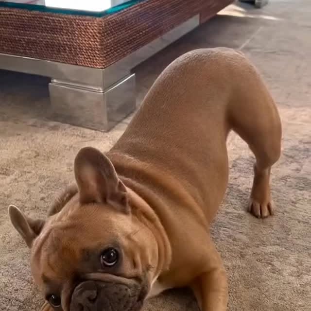  ..........ldogs_only   'recent posts' 