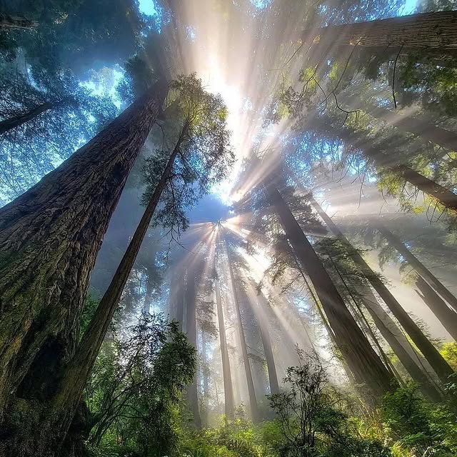  ........ionfervor   'recent posts' 