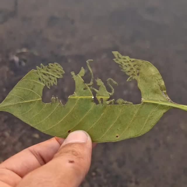  .......hanuman   'recent posts' 