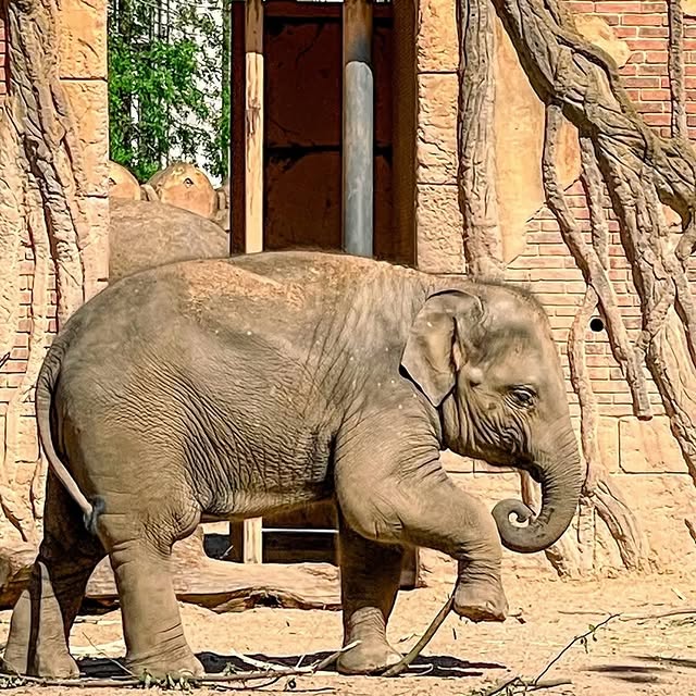  ......fehood   'recent posts' 