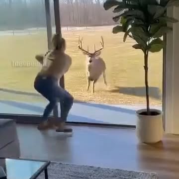  .....sjokes   'recent posts' 