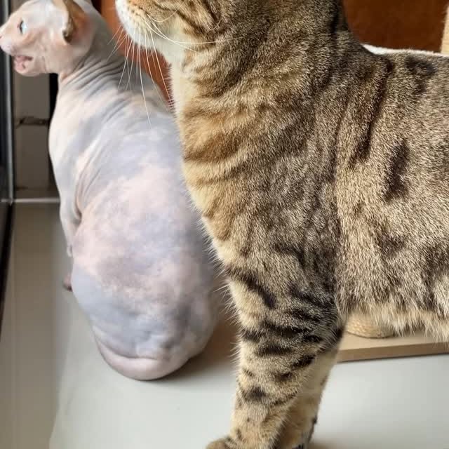  ......kekkek   'recent posts' 