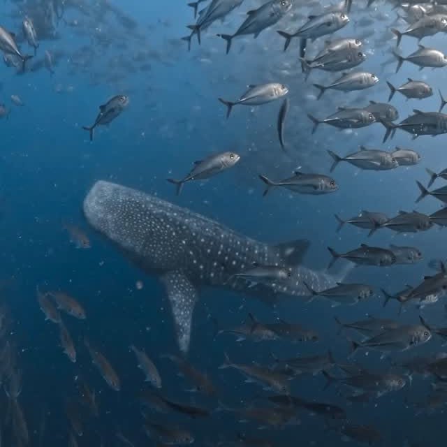  ......uecoast   'recent posts' 