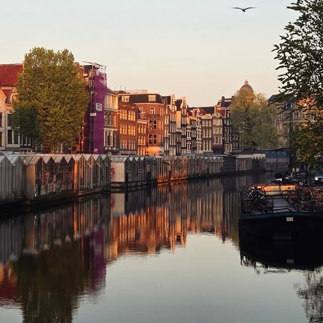  .......amworld   'recent posts' 