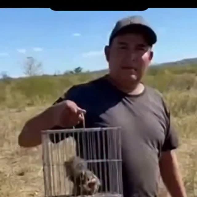  .......vnation   'recent posts' 