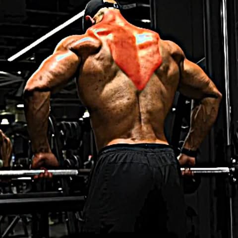  ......ruzfit   'recent posts' 