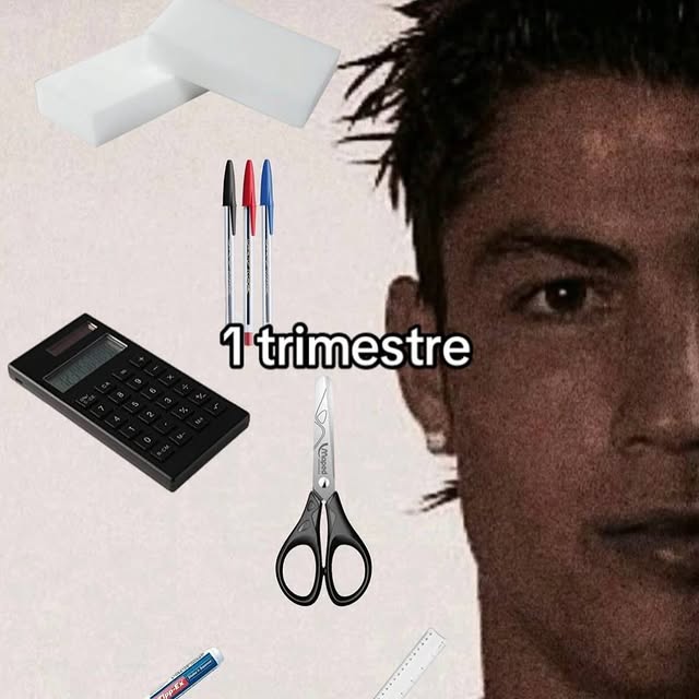  ....mees   'recent posts' 