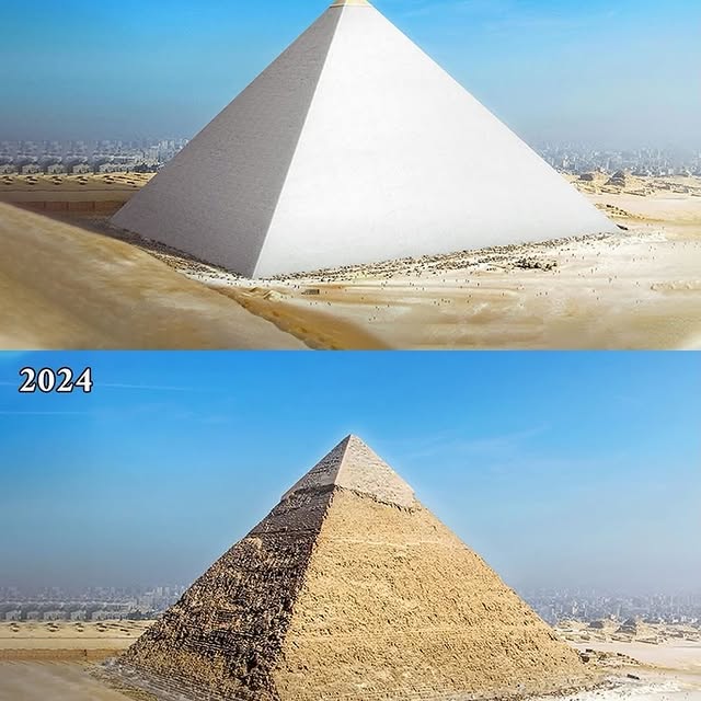  ......fervor   'recent posts' 